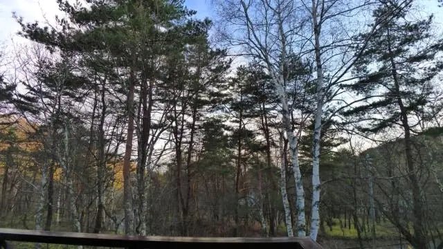 1Bed Apartment in Chino-shi, Nagano - PDJ Indonesia