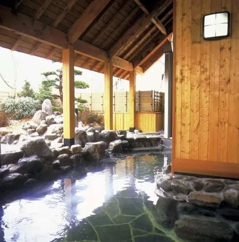 1Bed Apartment in Chino-shi, Nagano - PDJ Indonesia