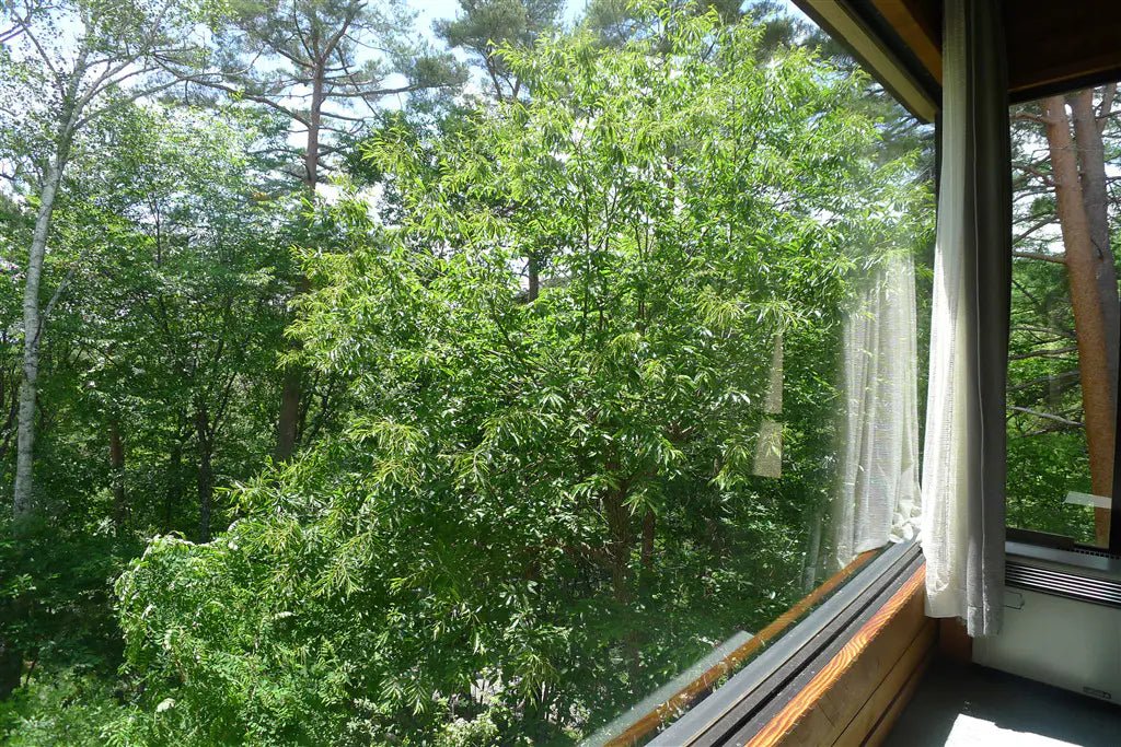 1Bed Apartment in Chino-shi, Nagano - PDJ Indonesia