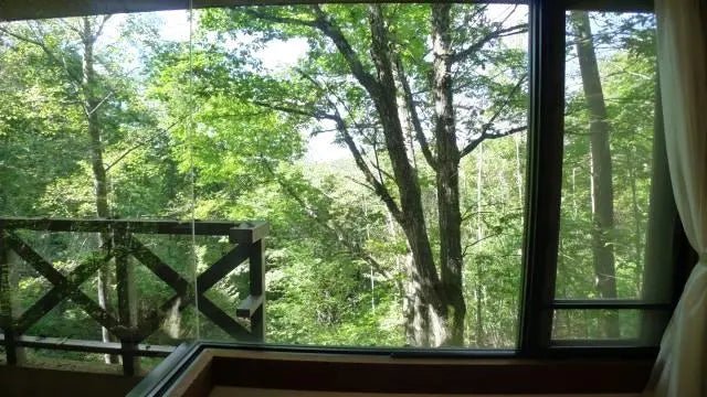 1Bed Apartment in Chino-shi, Nagano - PDJ Indonesia