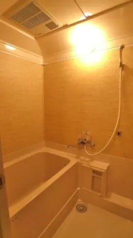 1Bed Apartment in Chino-shi, Nagano - PDJ Indonesia