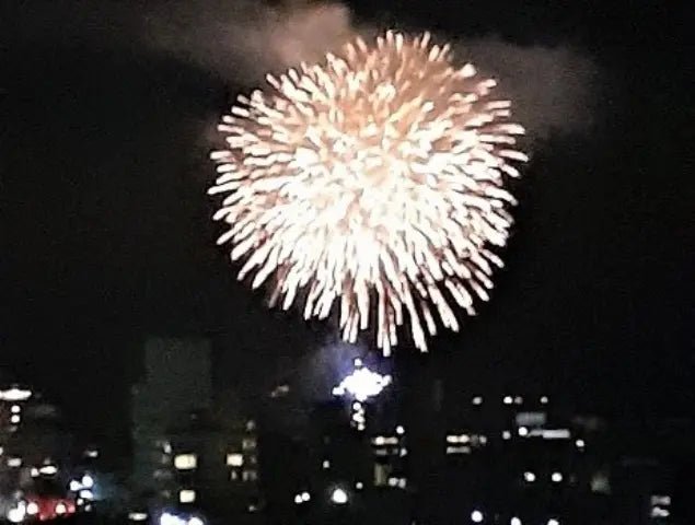 1Bed Apartment in Ito-shi, Shizuoka - PDJ Indonesia