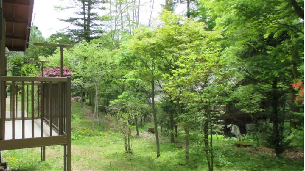 1Bed House in Karuizawa-machi,Kitasaku-gun, Nagano - PDJ Indonesia