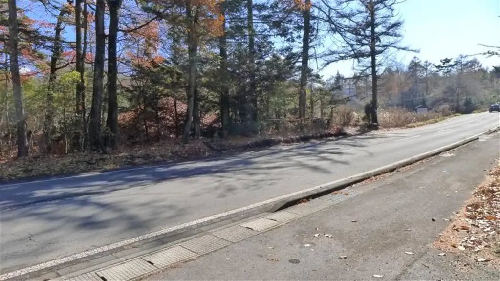 1Bed House in Karuizawa-machi,Kitasaku-gun, Nagano - PDJ Indonesia