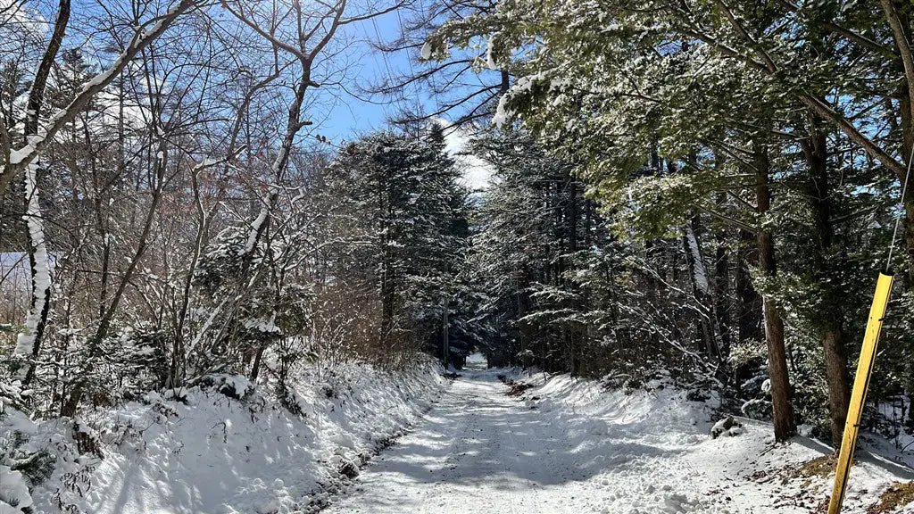 1Bed House in Karuizawa-machi,Kitasaku-gun, Nagano - PDJ Indonesia