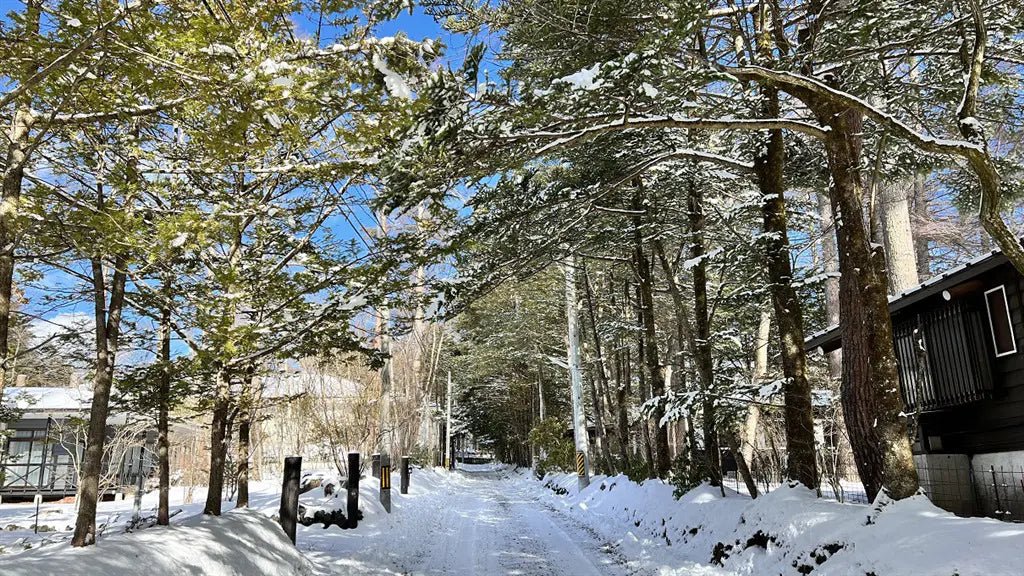 1Bed House in Karuizawa-machi,Kitasaku-gun, Nagano - PDJ Indonesia