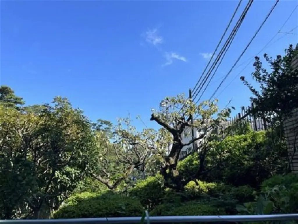 2Beds Apartment in Atami-shi, Shizuoka - PDJ Indonesia