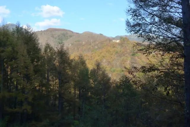 2Beds Apartment in Chino-shi, Nagano - PDJ Indonesia