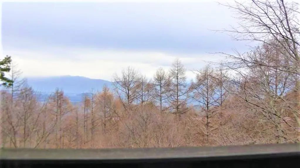 2Beds Apartment in Chino-shi, Nagano - PDJ Indonesia