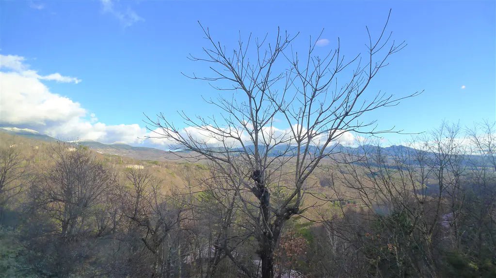 2Beds Apartment in Chino-shi, Nagano - PDJ Indonesia