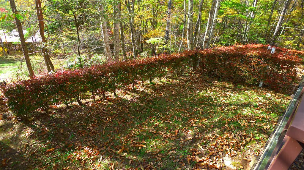 2Beds Apartment in Chino-shi, Nagano - PDJ Indonesia