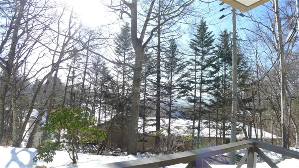 2Beds Apartment in Chino-shi, Nagano - PDJ Indonesia