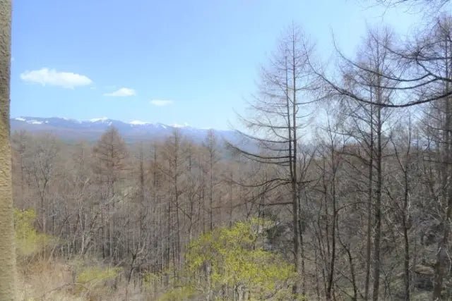 2Beds Apartment in Chino-shi, Nagano - PDJ Indonesia