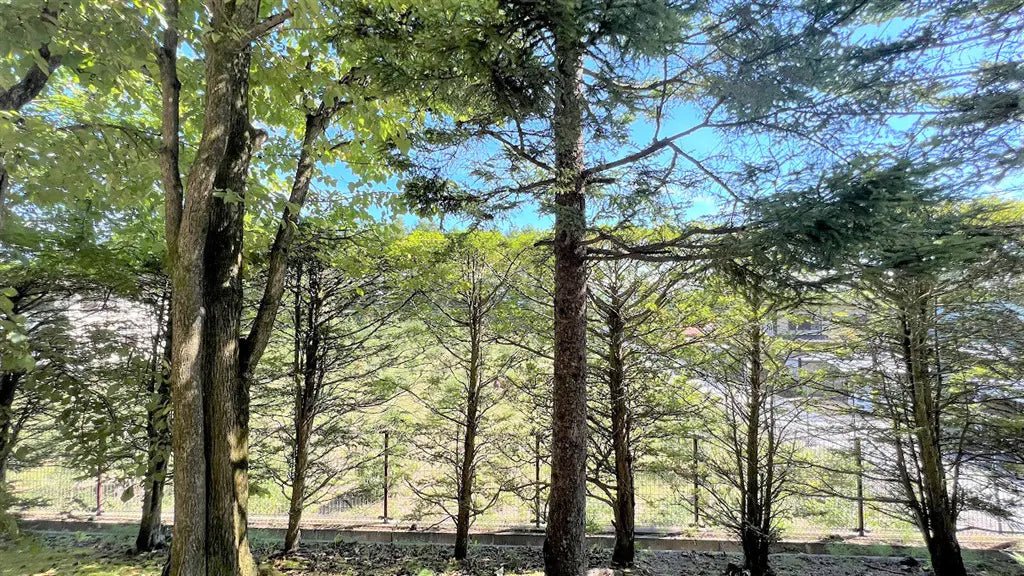 2Beds Apartment in Karuizawa-machi,Kitasaku-gun, Nagano - PDJ Indonesia