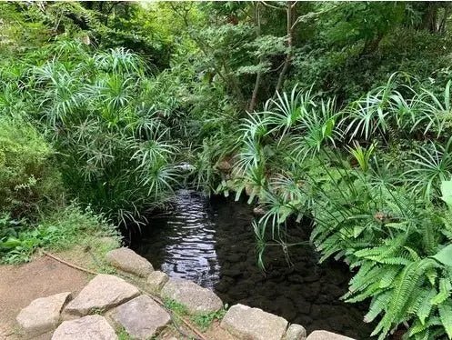 2Beds Apartment in Naniwa-ku,Osaka-shi, Osaka - PDJ Indonesia