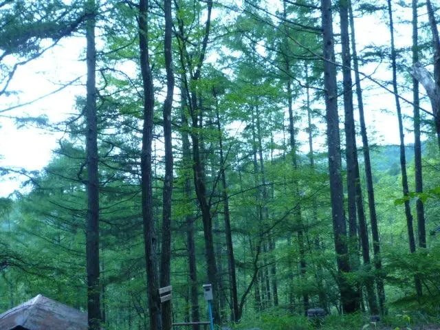 2Beds House in Chino-shi, Nagano - PDJ Indonesia