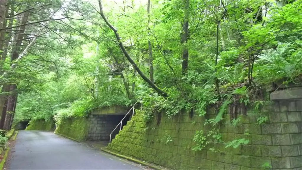 2Beds House in Karuizawa-machi,Kitasaku-gun, Nagano - PDJ Indonesia