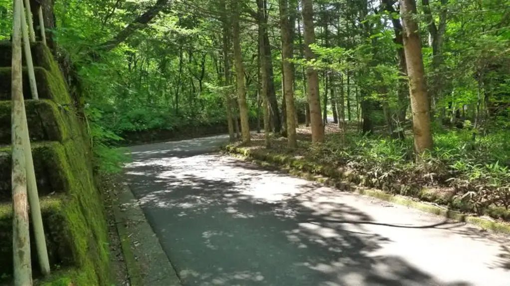 2Beds House in Karuizawa-machi,Kitasaku-gun, Nagano - PDJ Indonesia