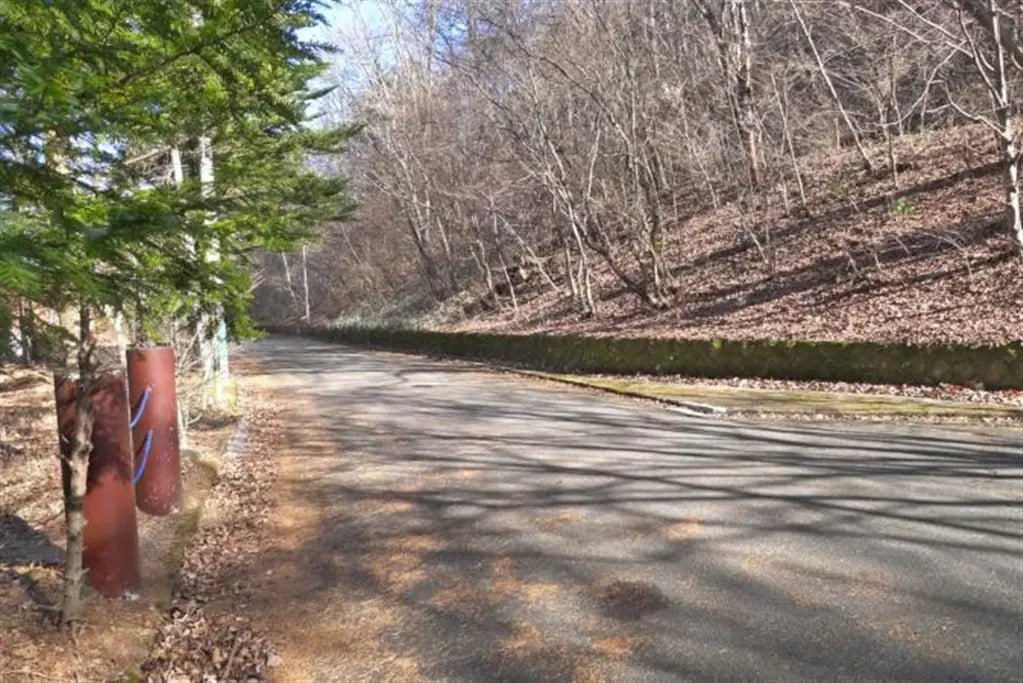 2Beds House in Karuizawa-machi,Kitasaku-gun, Nagano - PDJ Indonesia