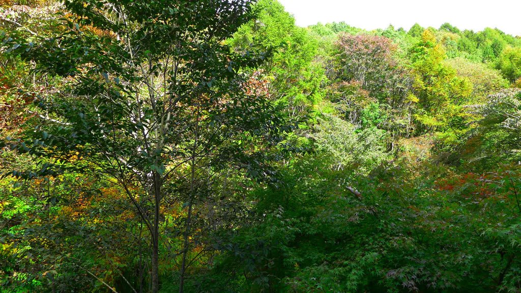 2Beds House in Karuizawa-machi,Kitasaku-gun, Nagano - PDJ Indonesia