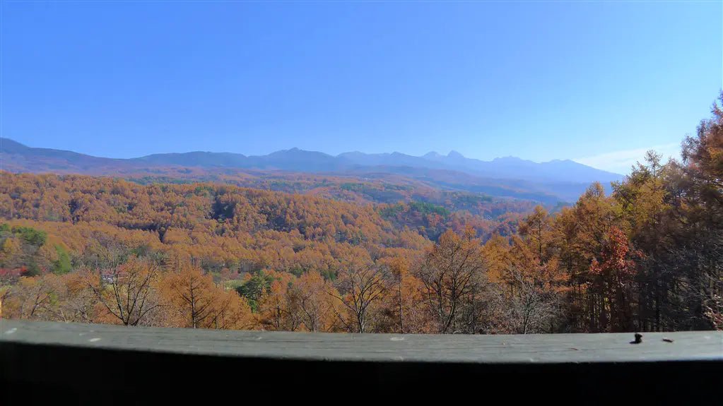 3Beds Apartment in Chino-shi, Nagano - PDJ Indonesia