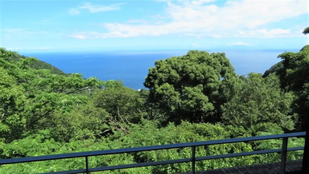 3Beds House in Atami-shi, Shizuoka - PDJ Indonesia