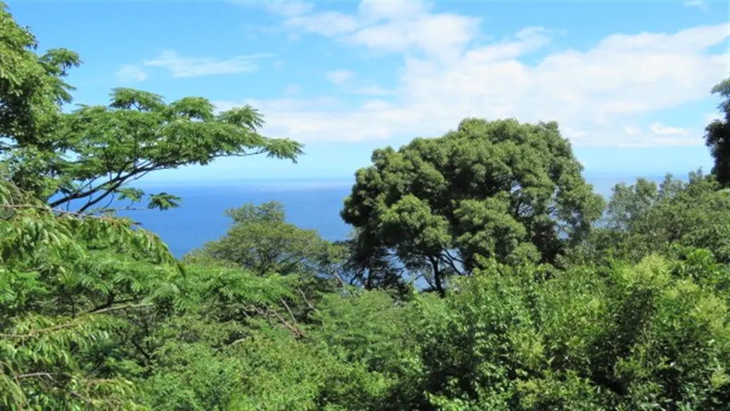 3Beds House in Atami-shi, Shizuoka - PDJ Indonesia