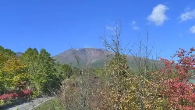 4Beds House in Karuizawa-machi,Kitasaku-gun, Nagano - PDJ Indonesia