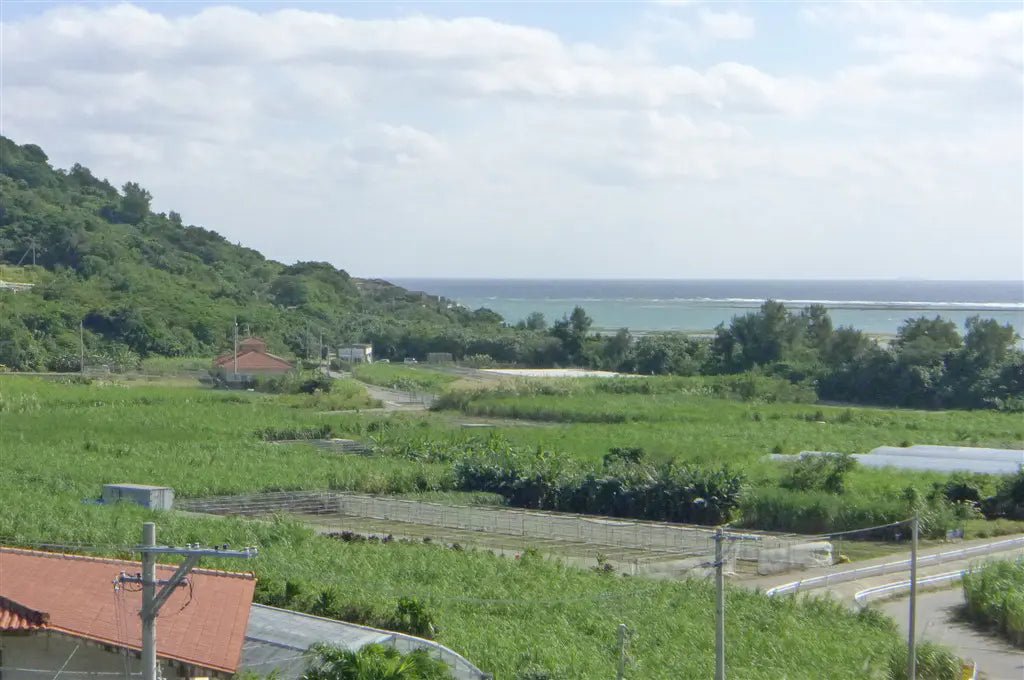 6Beds House in Nanjo-shi, Okinawa - PDJ Indonesia
