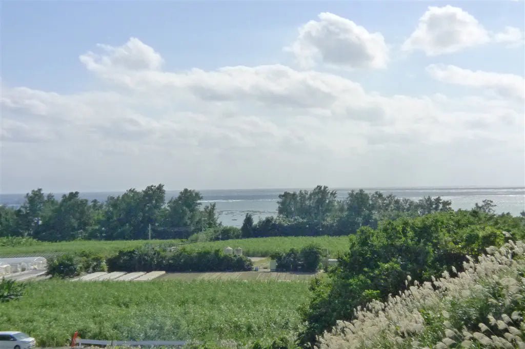 6Beds House in Nanjo-shi, Okinawa - PDJ Indonesia