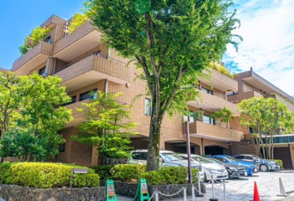 Belle Omotesando - PDJ Indonesia