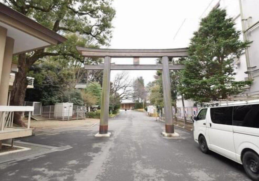 Bliss beige Jingumae - PDJ Indonesia