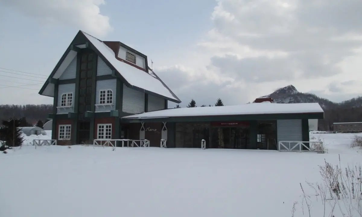 Commercial Building in Toya, Hokkaido - PDJ Indonesia