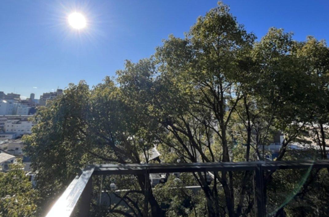 Crest Court SADOHARA - PDJ Indonesia