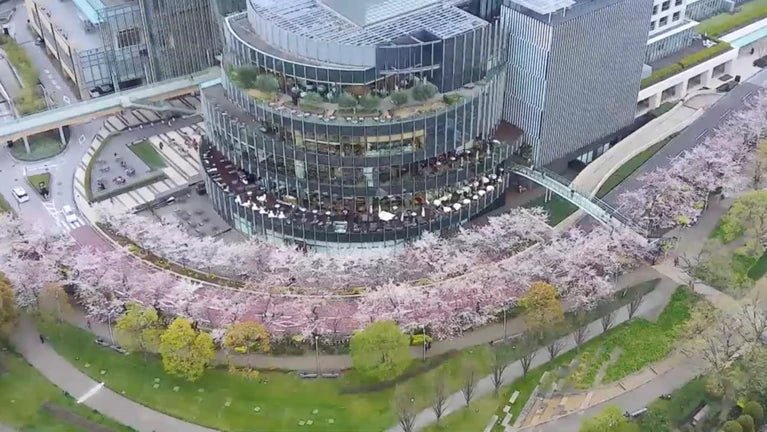 Detached House Close To Midtown In Roppongi 7chome - PDJ Indonesia