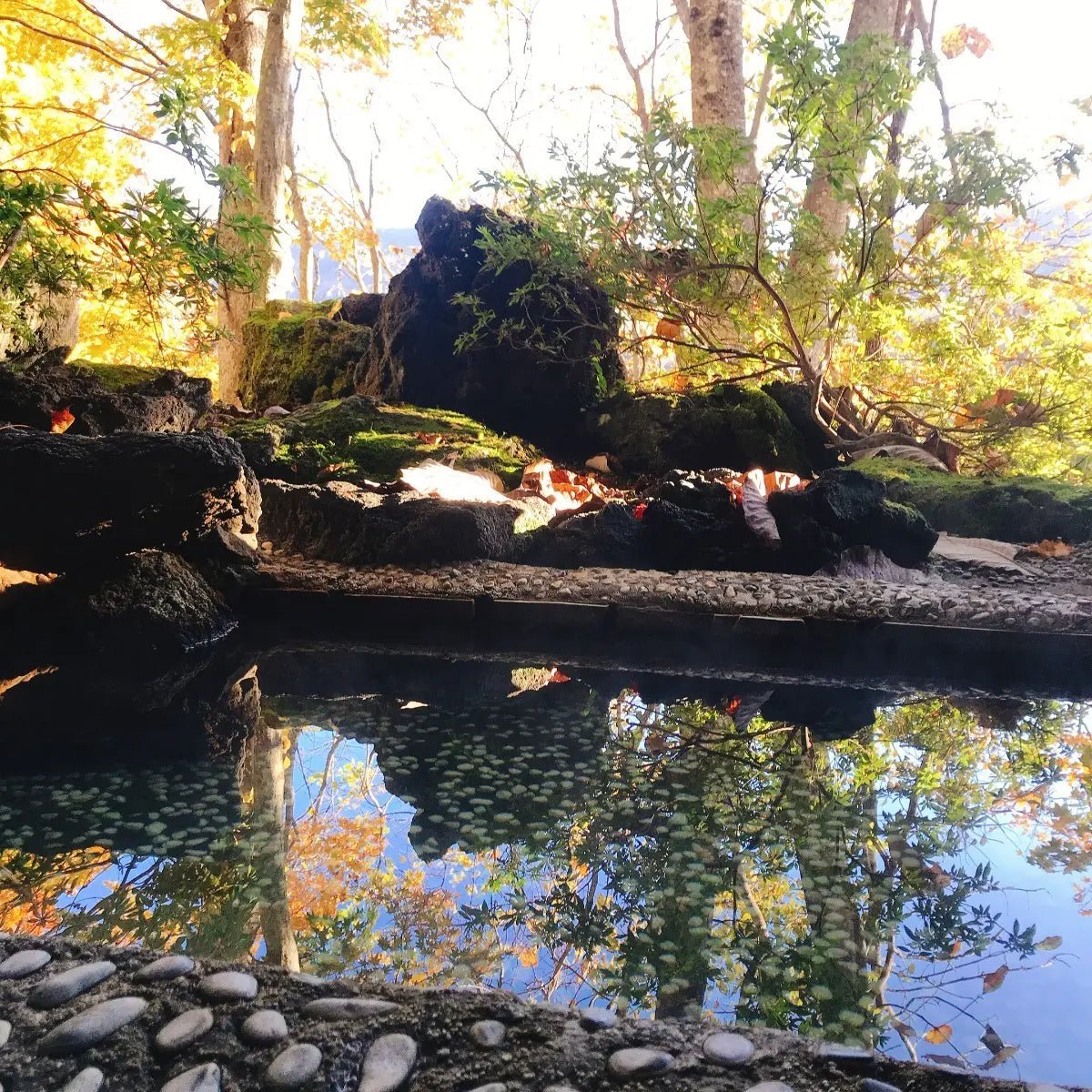 Hotel & Ryokan in , Hokkaido - PDJ Indonesia