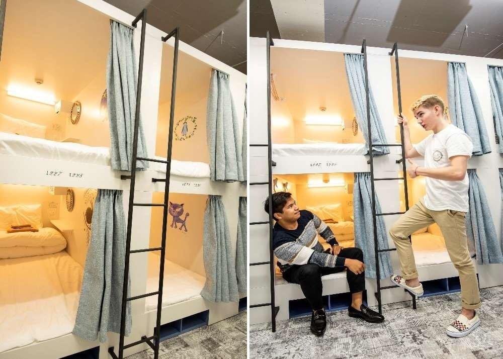 Hotel & Ryokan in Sumida-ku, Tokyo - PDJ Indonesia