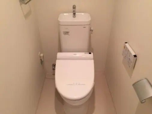 Lifures KYOTOGOJO - PDJ Indonesia