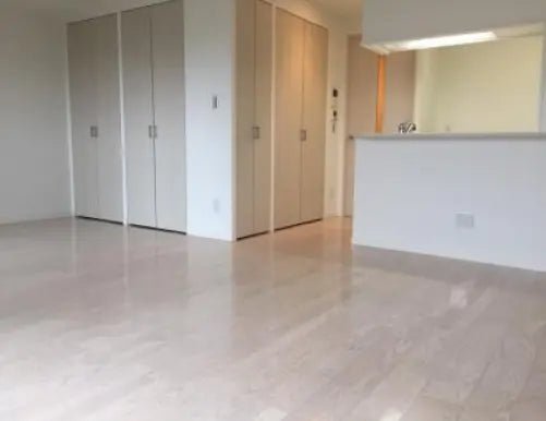 Lifures KYOTOGOJO - PDJ Indonesia