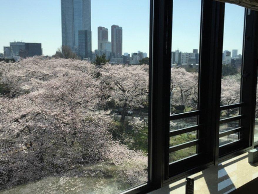 Minamiaoyama Masters house - PDJ Indonesia