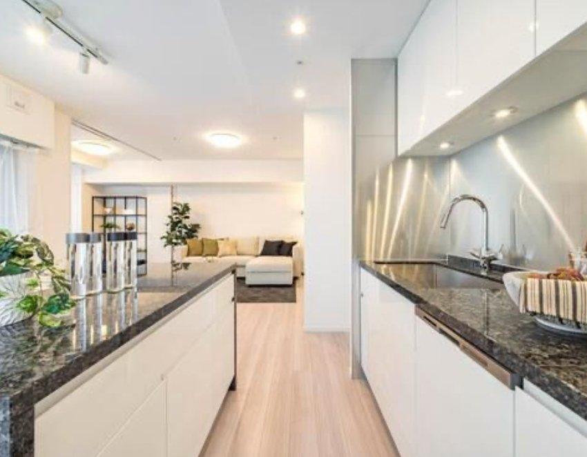 PREMIST Shirokane - PDJ Indonesia