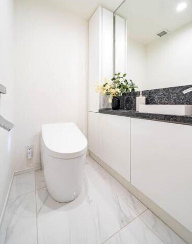 PREMIST Shirokane - PDJ Indonesia