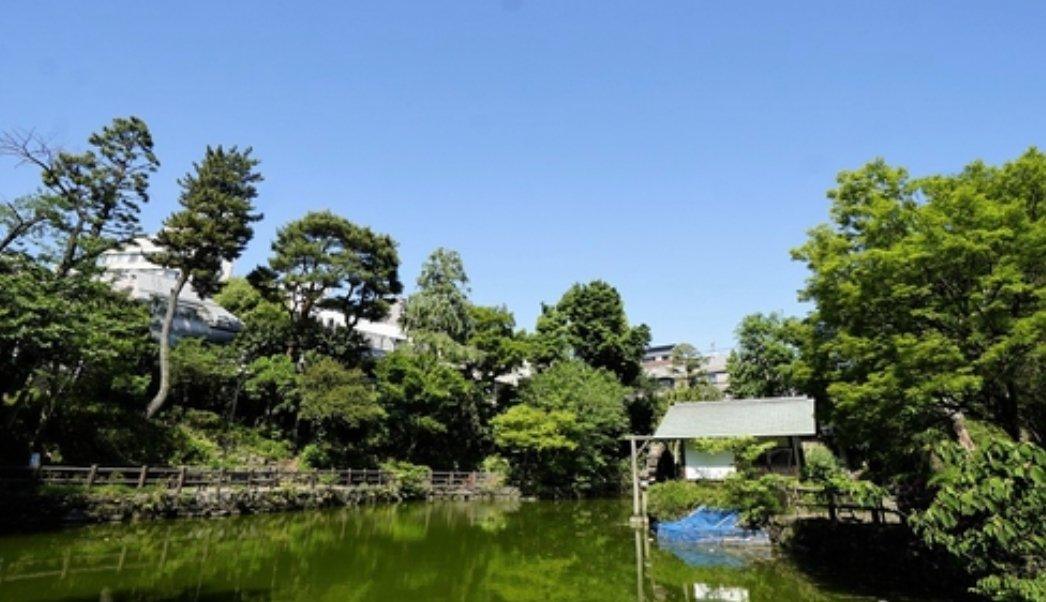 Shoto HOUSE - PDJ Indonesia