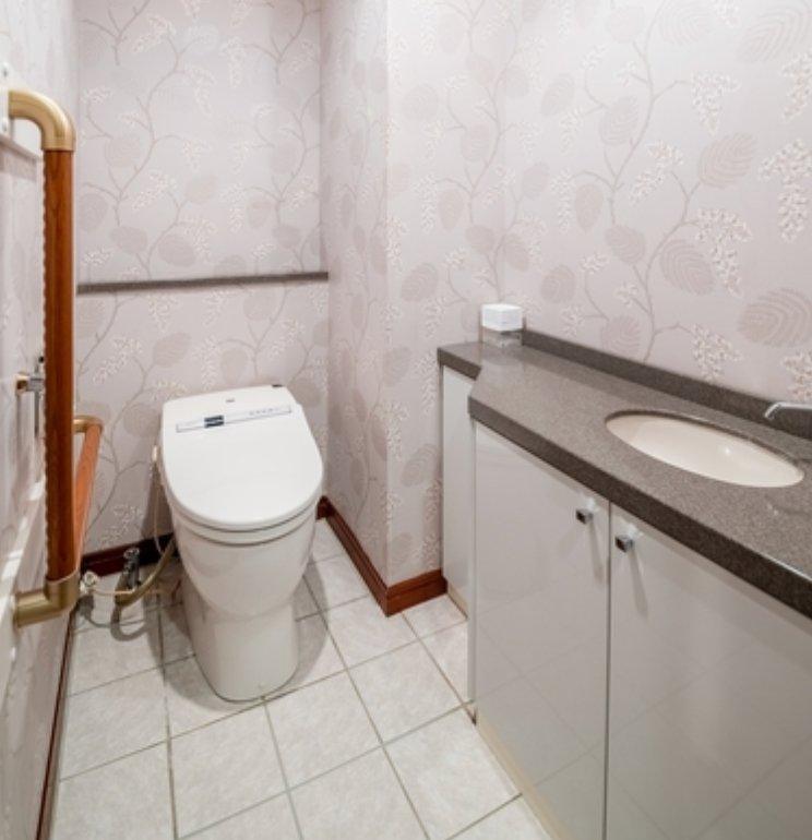 WESENT Akasaka Shinsaka - PDJ Indonesia